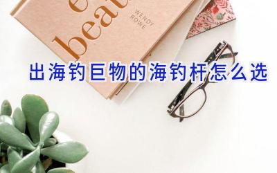 出海钓巨物的海钓杆怎么选插图 出海钓巨物的海钓杆怎么选插图