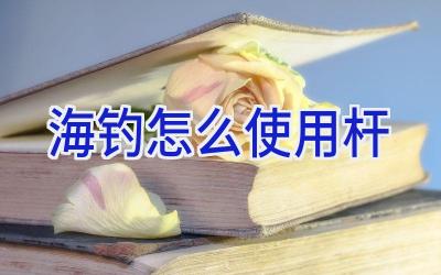 海钓怎么使用杆插图 海钓怎么使用杆插图