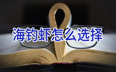 海钓虾怎么选择插图 海钓虾怎么选择插图