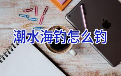 潮水海钓怎么钓插图 潮水海钓怎么钓插图