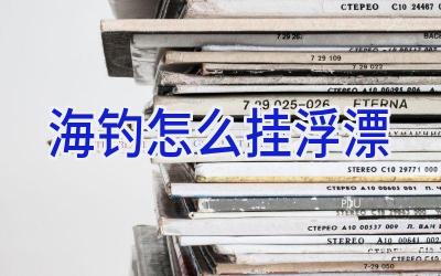 海钓怎么挂浮漂插图