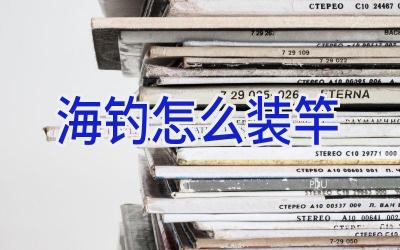 海钓怎么装竿插图 海钓怎么装竿插图