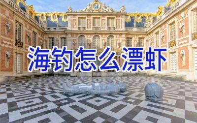 海钓怎么漂虾插图 海钓怎么漂虾插图