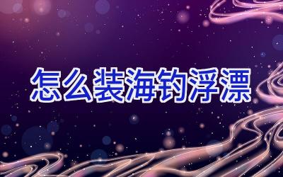 怎么装海钓浮漂插图 怎么装海钓浮漂插图