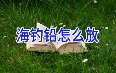 海钓铅怎么放插图 海钓铅怎么放插图