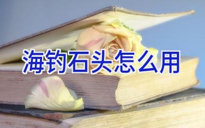 海钓石头怎么用插图