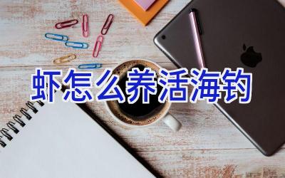 虾怎么养活海钓插图