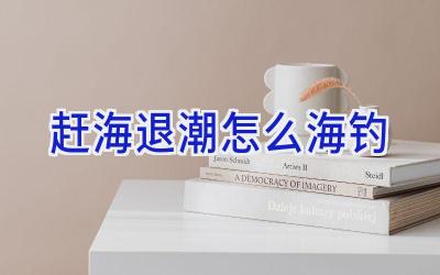 赶海退潮怎么海钓插图 赶海退潮怎么海钓插图