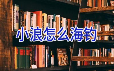 小浪怎么海钓插图 小浪怎么海钓插图