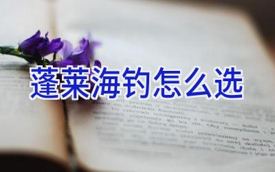 蓬莱海钓怎么选插图 蓬莱海钓怎么选插图