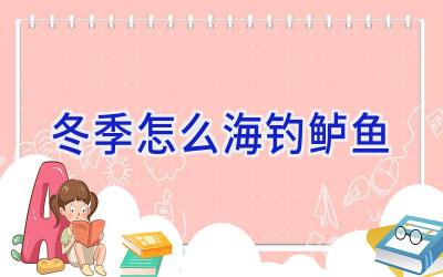 冬季怎么海钓鲈鱼插图 冬季怎么海钓鲈鱼插图