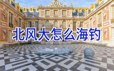 北风大怎么海钓插图 北风大怎么海钓插图