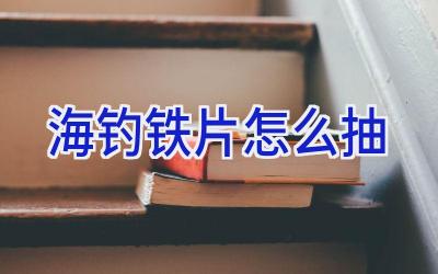 海钓铁片怎么抽插图 海钓铁片怎么抽插图