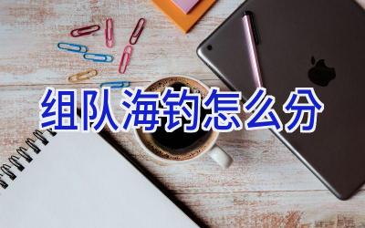 组队海钓怎么分插图