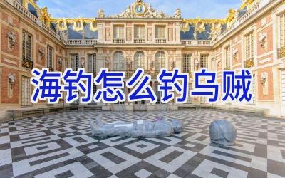 海钓怎么钓乌贼插图