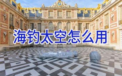 海钓太空怎么用插图