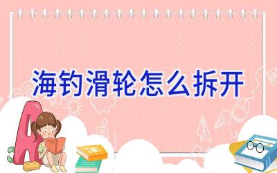 海钓滑轮怎么拆开插图