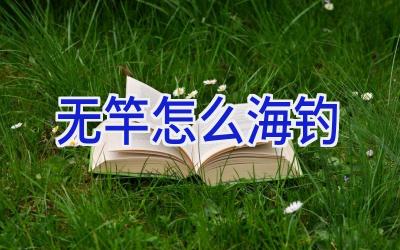 无竿怎么海钓插图