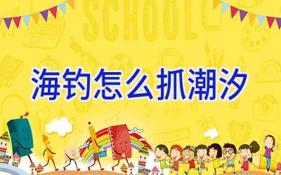 海钓怎么抓潮汐插图 海钓怎么抓潮汐插图