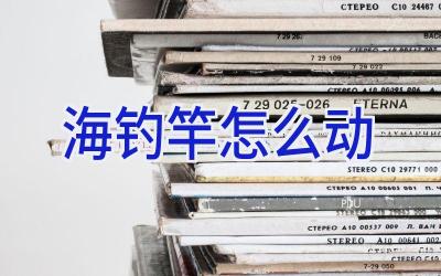 海钓竿怎么动插图