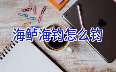 海鲈海钓怎么钓插图