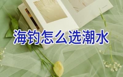 海钓怎么选潮水插图