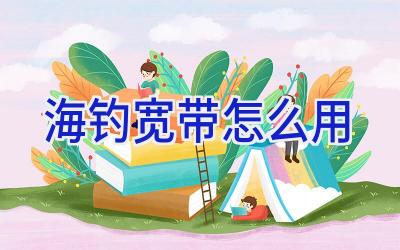 海钓宽带怎么用插图 海钓宽带怎么用插图