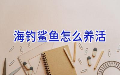 海钓鲨鱼怎么养活插图 海钓鲨鱼怎么养活插图