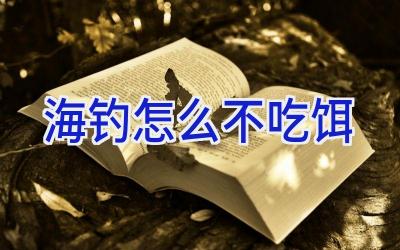 海钓怎么不吃饵插图