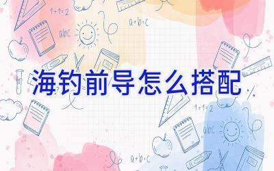海钓前导怎么搭配插图 海钓前导怎么搭配插图