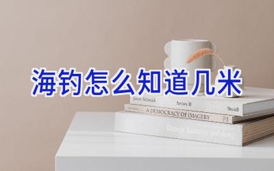 海钓怎么知道几米插图