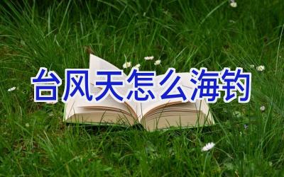 台风天怎么海钓插图