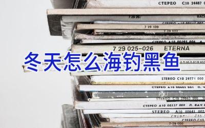 冬天怎么海钓黑鱼插图