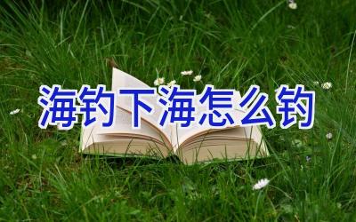 海钓下海怎么钓插图