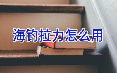 海钓拉力怎么用插图