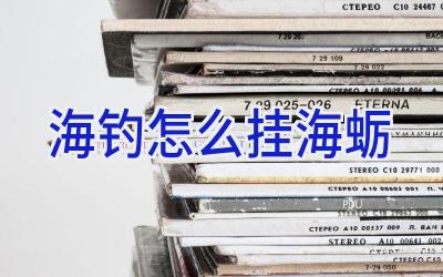 海钓怎么挂海蛎插图