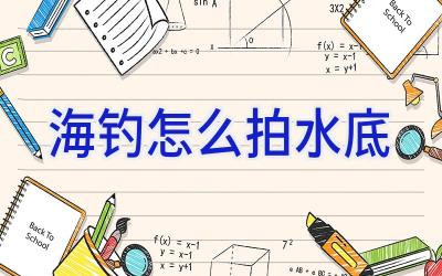 海钓怎么拍水底插图