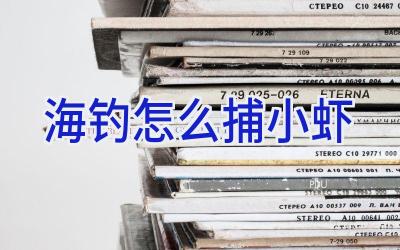 海钓怎么捕小虾插图