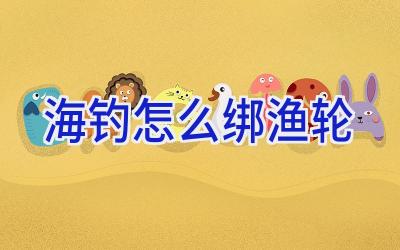 海钓怎么绑渔轮插图 海钓怎么绑渔轮插图