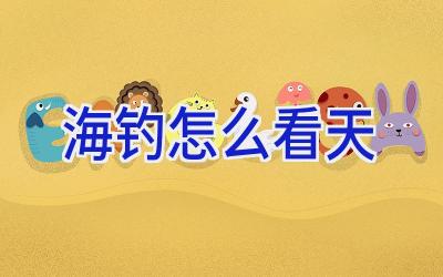 海钓怎么看天插图