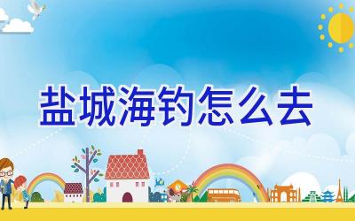盐城海钓怎么去插图