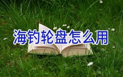 海钓轮盘怎么用插图