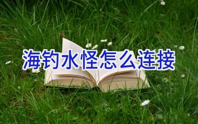 海钓水怪怎么连接插图