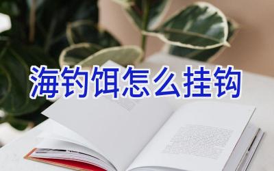 海钓饵怎么挂钩插图