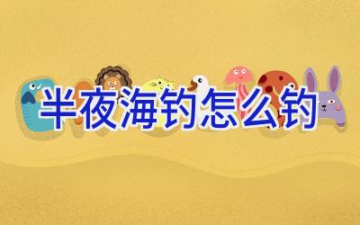 半夜海钓怎么钓插图 半夜海钓怎么钓插图