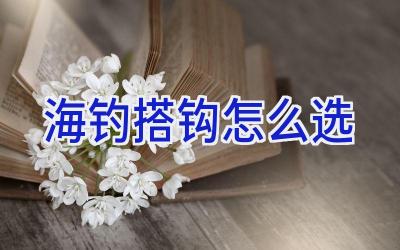 海钓搭钩怎么选插图