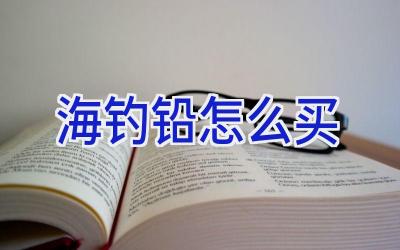 海钓铅怎么买插图