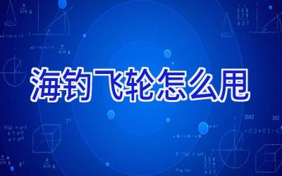 海钓飞轮怎么甩插图 海钓飞轮怎么甩插图