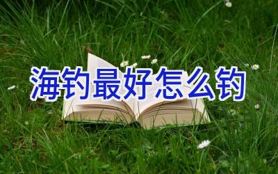 海钓最好怎么钓插图