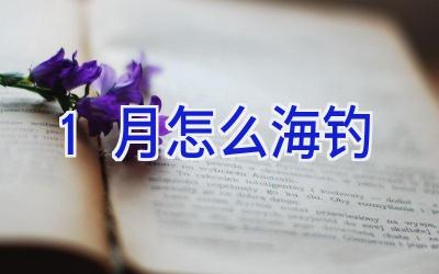 1月怎么海钓插图 1月怎么海钓插图